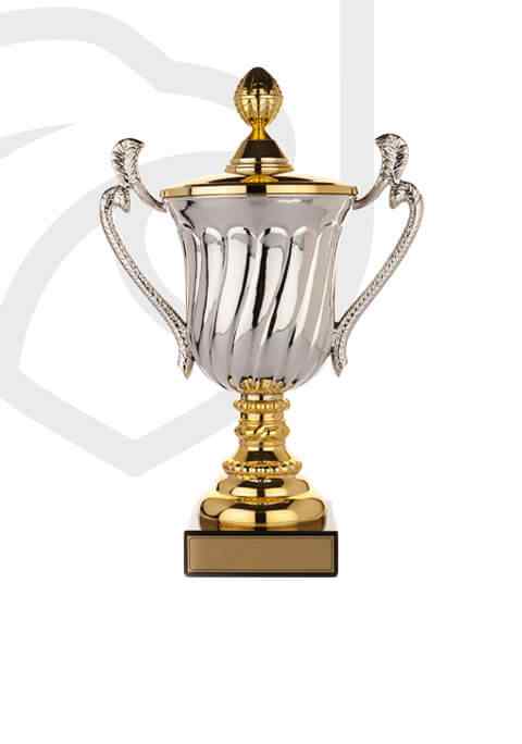 https://www.fkraca.com/wp-content/uploads/2022/11/trophy_overlay_02.jpg